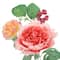 Mixed Peony, Hydrangea &#x26; Ranunculus Bush by Ashland&#xAE;